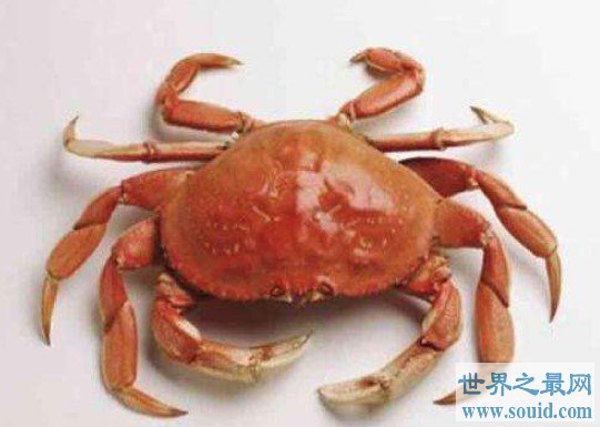 世界上第一个吃螃蟹的人——壮士巴解(www.gifqq.com)