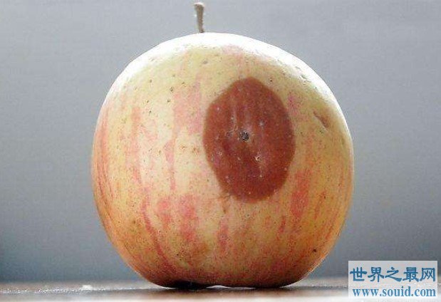 世界上细菌最多的水果，每个苹果携带的细菌高达1亿个(www.gifqq.com)