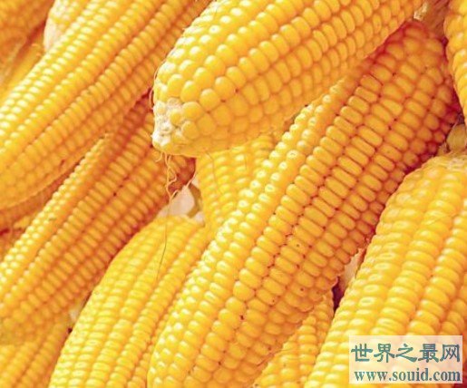 世界上生产玉米最多的国家，年产量可达到10.75亿吨(www.gifqq.com)