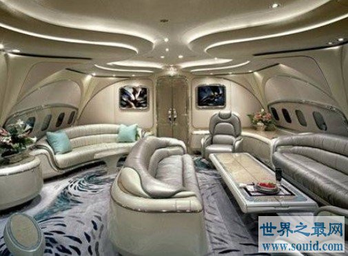 世界上最豪华的飞机，成为一个私人豪宅一般(www.gifqq.com)