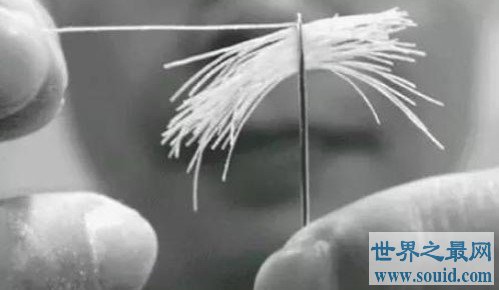 世界上最细的面条，厚0.067mm一个针孔能穿43根(www.gifqq.com)