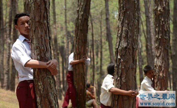 848人参加拥抱树木活动 成功打破吉尼斯世界纪录(www.gifqq.com)