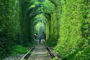 最美的四条隧道，乌克兰爱的隧道(终点会遇见幸福)
