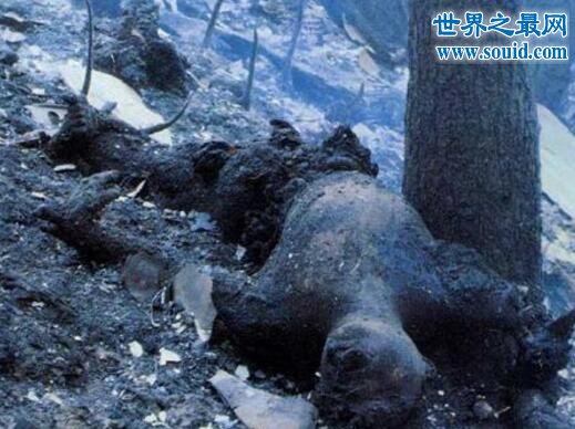 世界上最恐怖的空难，日本航空123号班机空难事件(死伤人数520)(www.gifqq.com)