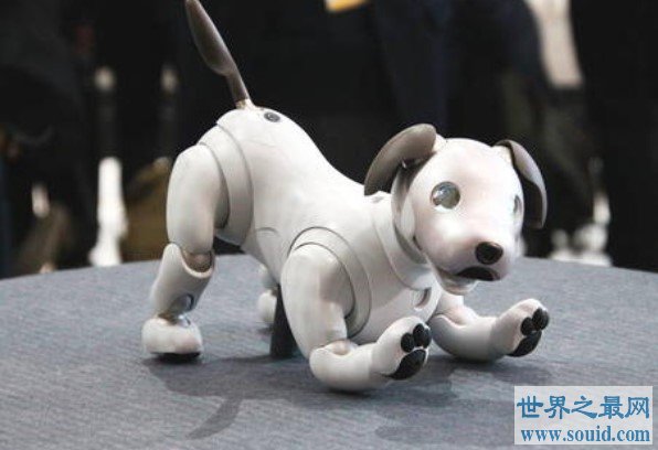 世界上最具实力的机器狗，可拉一架重达三吨的飞机！(www.gifqq.com)