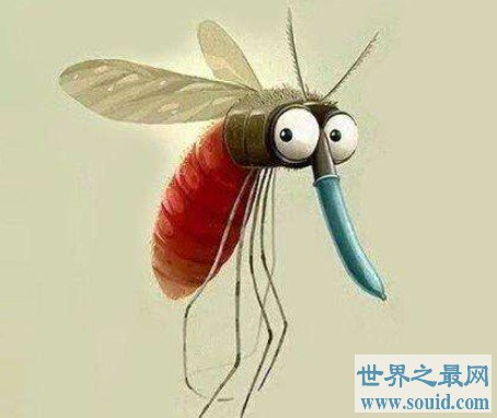 最有效的灭蚊剂即将诞生，在岛上消灭了侵入性最强的亚洲虎蚊(www.gifqq.com)