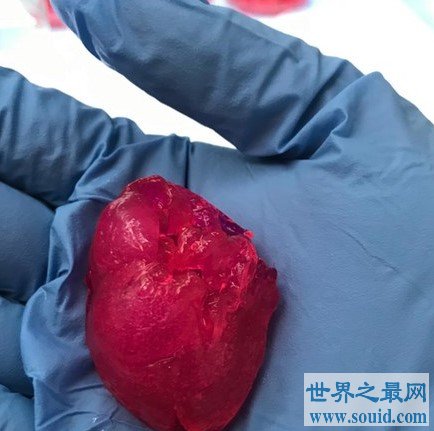 最强3D打印技术，首次制造“迷你人类心脏”(www.gifqq.com)