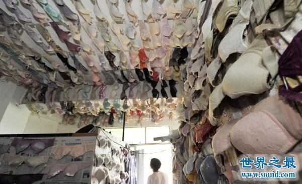 世界上收藏胸罩最多的人，中国男子收藏5000个(www.gifqq.com)