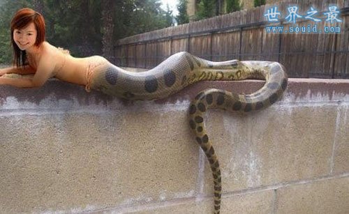 最真实的美女蛇图片，人头蛇身美人蛇(真相吓人)(www.gifqq.com)
