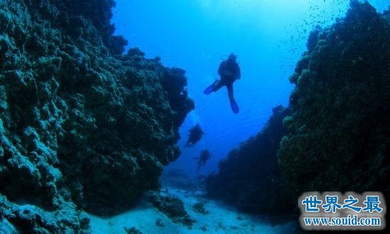 人类潜水最深纪录，深达332米(人类潜水极限)(www.gifqq.com)