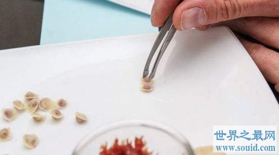 世界上最小的饺子，用牙签擀皮，6万个不足一碗！(www.gifqq.com)