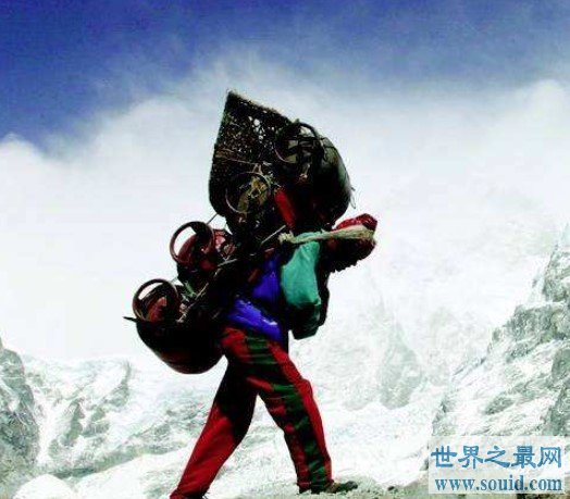 世界上最闻名的夏尔巴人，攀登珠峰，薪酬可观(www.gifqq.com)