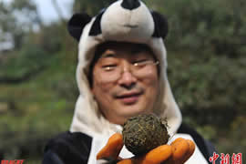 世界上最贵的绿茶，熊猫粪便绿茶(1300元一杯)