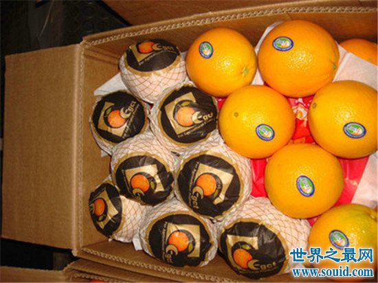 世界上排名前十的柑橘生产国，中国竟然仅排第三(www.gifqq.com)