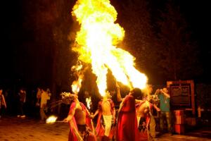 火把节是哪个民族的节日，彝/白/纳西/基诺/拉祜族