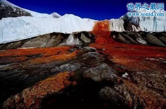 南极血瀑布揭开，含铁的液体被氧化造成的血红现象(www.gifqq.com)