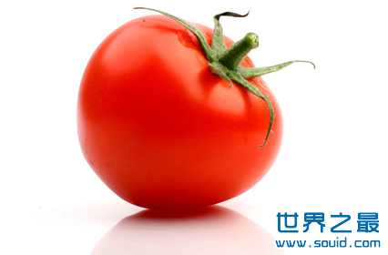 世界上第一个吃西红柿的人(www.gifqq.com)