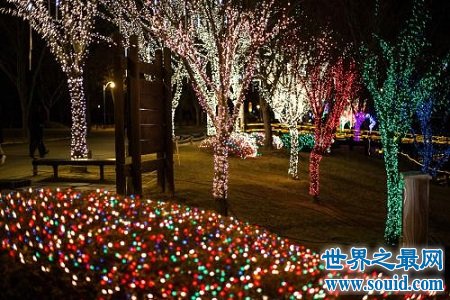 圣诞节里最为常见的圣诞树灯，到底有什么神秘的故事？(www.gifqq.com)