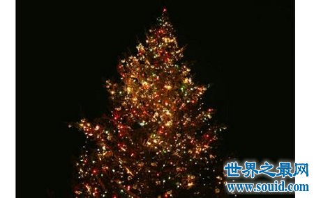 圣诞节里最为常见的圣诞树灯，到底有什么神秘的故事？(www.gifqq.com)