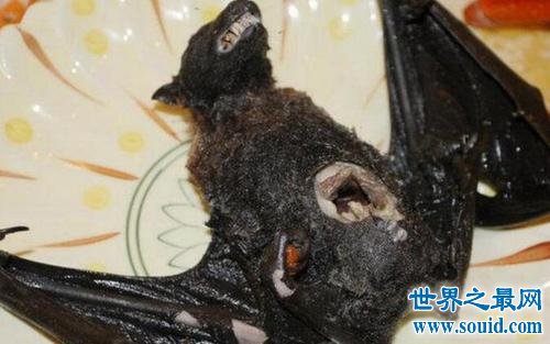 世界上最危险的五道菜，拿蝙蝠制作的汤！(www.gifqq.com)