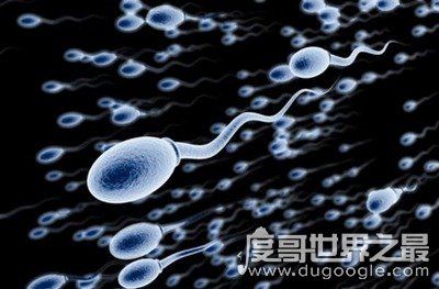 世界上精液最多的男人，一个男人有多少精液(www.gifqq.com)
