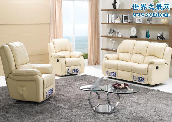 沙发十大品牌，芝华士第一(用的舒服买的安心)(www.gifqq.com)