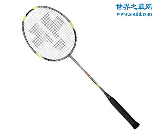 羽毛球拍品牌排行，YONEX尤尼克斯(羽毛球拍中的巅峰王者)(www.gifqq.com)