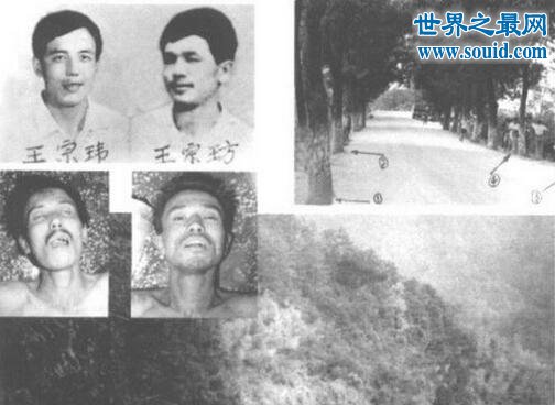 中国杀人犯排行榜，杨新海三年杀伤100多人(www.gifqq.com)