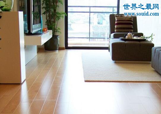 中国十大地板品牌，圣象地板(安心环保好地板)(www.gifqq.com)