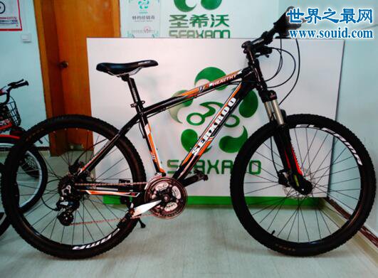 2016中国十大自行车品牌排行，老品牌值得信赖(www.gifqq.com)