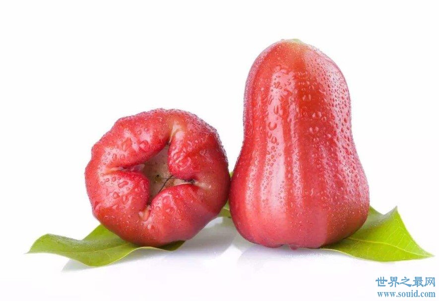 史上最难吃水果排行榜，隔着屏幕都能玩闻到味道(www.gifqq.com)