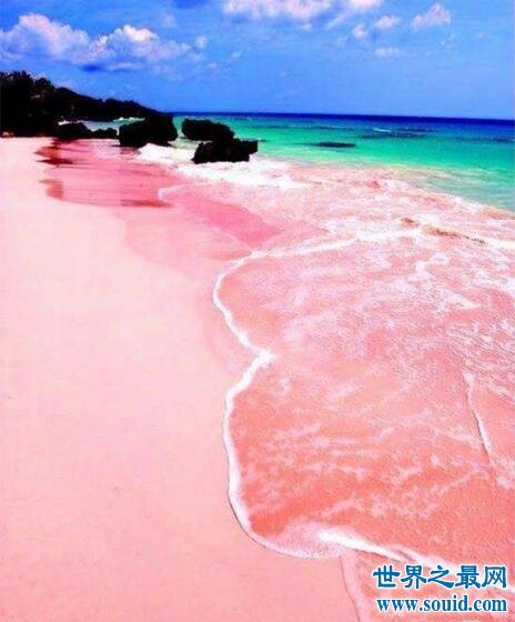 世界十大最美沙滩，粉色沙滩排第一(美的一塌糊涂)(www.gifqq.com)