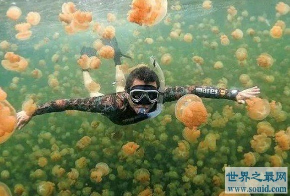 世界十大最奇特的湖泊，全部都是你意想不到的(www.gifqq.com)