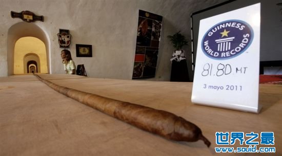 世界上最长的雪茄(www.gifqq.com)