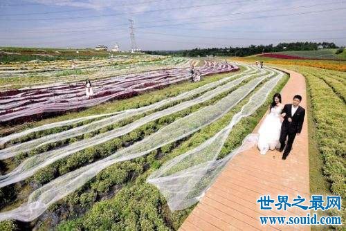世界上最长的婚纱，4100米(震撼却没卵用)(www.gifqq.com)