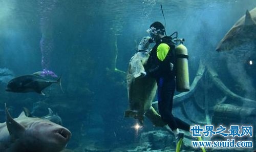 水下憋气世界纪录是多少你知道吗(www.gifqq.com)