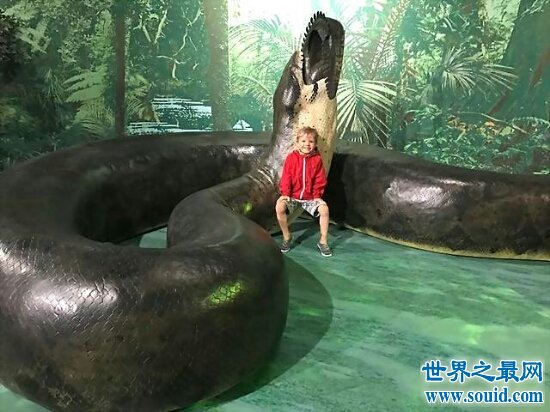 泰坦巨蟒的身体非常长，竟然达到了50.75米(www.gifqq.com)