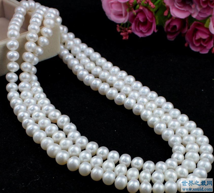 世界上最长的珍珠项链，长达222公尺！(www.gifqq.com)