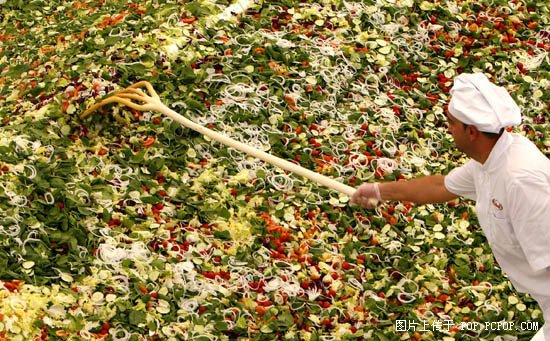 世界上最大的蔬菜沙拉(www.gifqq.com)