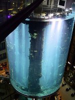 世界上最大的圆柱水族馆