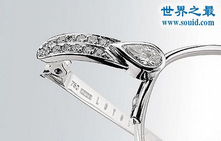 世界上最贵的眼镜，售价高达340万(www.gifqq.com)