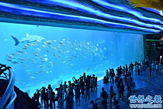世界上最大的水族馆，珠海长隆海洋王国(门票350元)(www.gifqq.com)