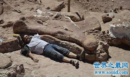 世界上最大的恐龙化石，一根骨头2.4米(总高7层楼)