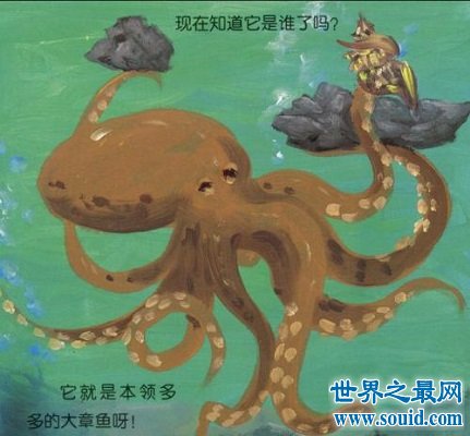 从章鱼图片来了解一个你所不知道的章鱼的秘密(www.gifqq.com)