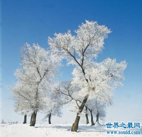 冬天是美丽的，描写冬天的古诗也是美丽的(www.gifqq.com)