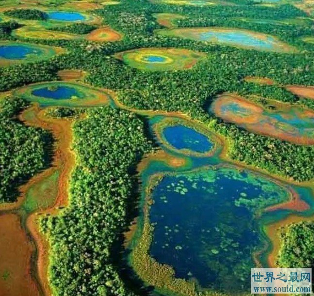 世界最大的湿地，面积达2500万公顷(www.gifqq.com)