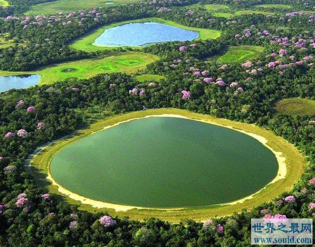 世界最大的湿地，面积达2500万公顷(www.gifqq.com)