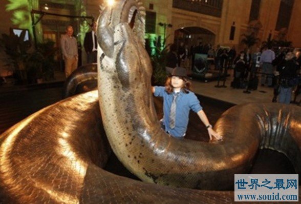 史前最大的海蛇，古杯蛇可以长到9米长620斤