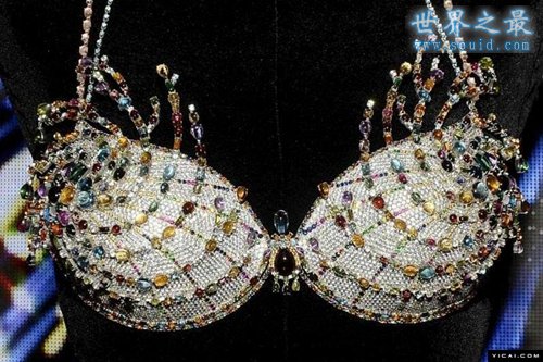 世界上最昂贵的胸罩，最美的肉体(1000万美元)(www.gifqq.com)