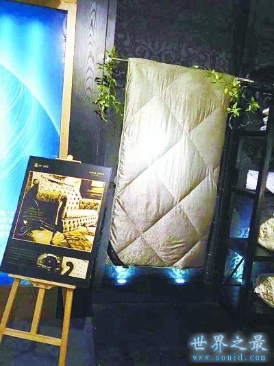 世界上最贵的羽绒被，40万一床(www.gifqq.com)